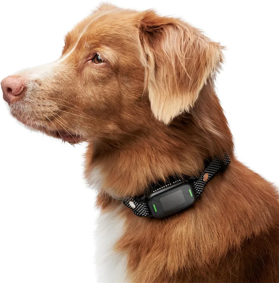 Ugatásgátló kutyanyakörv rezgéssel és hangjelzéssel