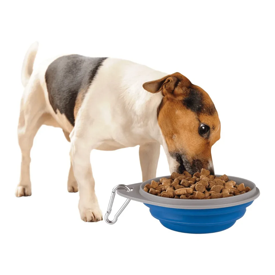 Zoofari utazó kutyatál