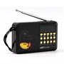 Mini FM rádió YG-011AR